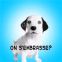 Chien qui l�che ton �cran