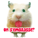 Hamster l�che l'�cran "On s'embrasse?"