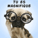 Chiot � lunettes "Tu es magnifique"