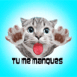 Chaton l�che-�cran "Tu me manques"