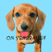 L�cheur d'�cran "On s'embrasse?"