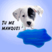 Chien versant une larme "tu me manques"