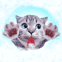 Chaton avec la langue coll�e � l'�cran