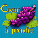 Grappe de "Coeur � prendre"
