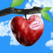 "Coeur � prendre"