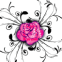 Rose violac�e p�tillante