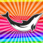 Dauphin psych�d�lique arc-en-ciel
