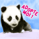 B�b� panda "Adopte-moi"