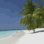 Plage, mer �meraude et palmier (Maldives)