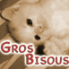 Chaton blanc sur le dos, s�pia, mention "Gros bisous"